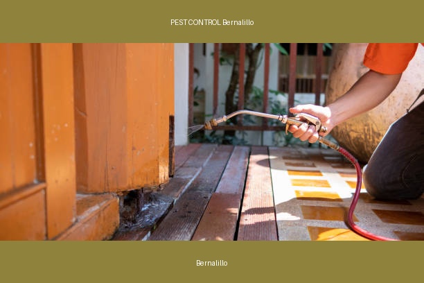 PEST CONTROL Bernalillo